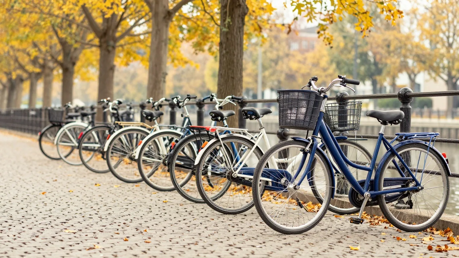 Reihe geparkter Fahrräder an einem Kanalweg unter Herbstbäumen, gelbes Laub auf dem Kopfsteinpflaster, weiches Nachmittagslicht