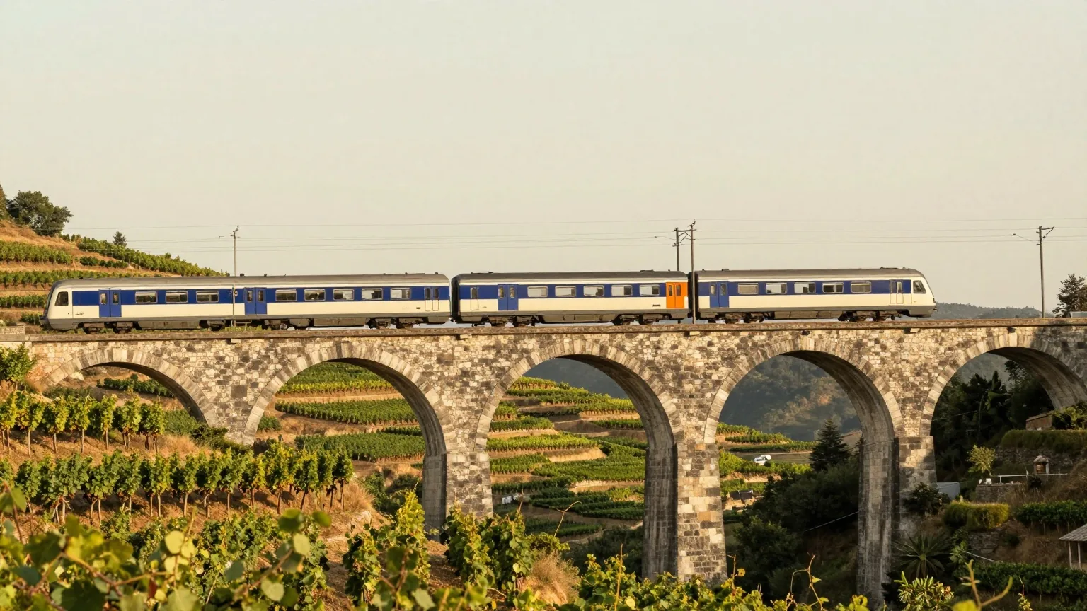 Nahverkehrszug auf einem steinernen Viadukt über terrassierten Weinbergen an einem Hang im warmen Abendlicht