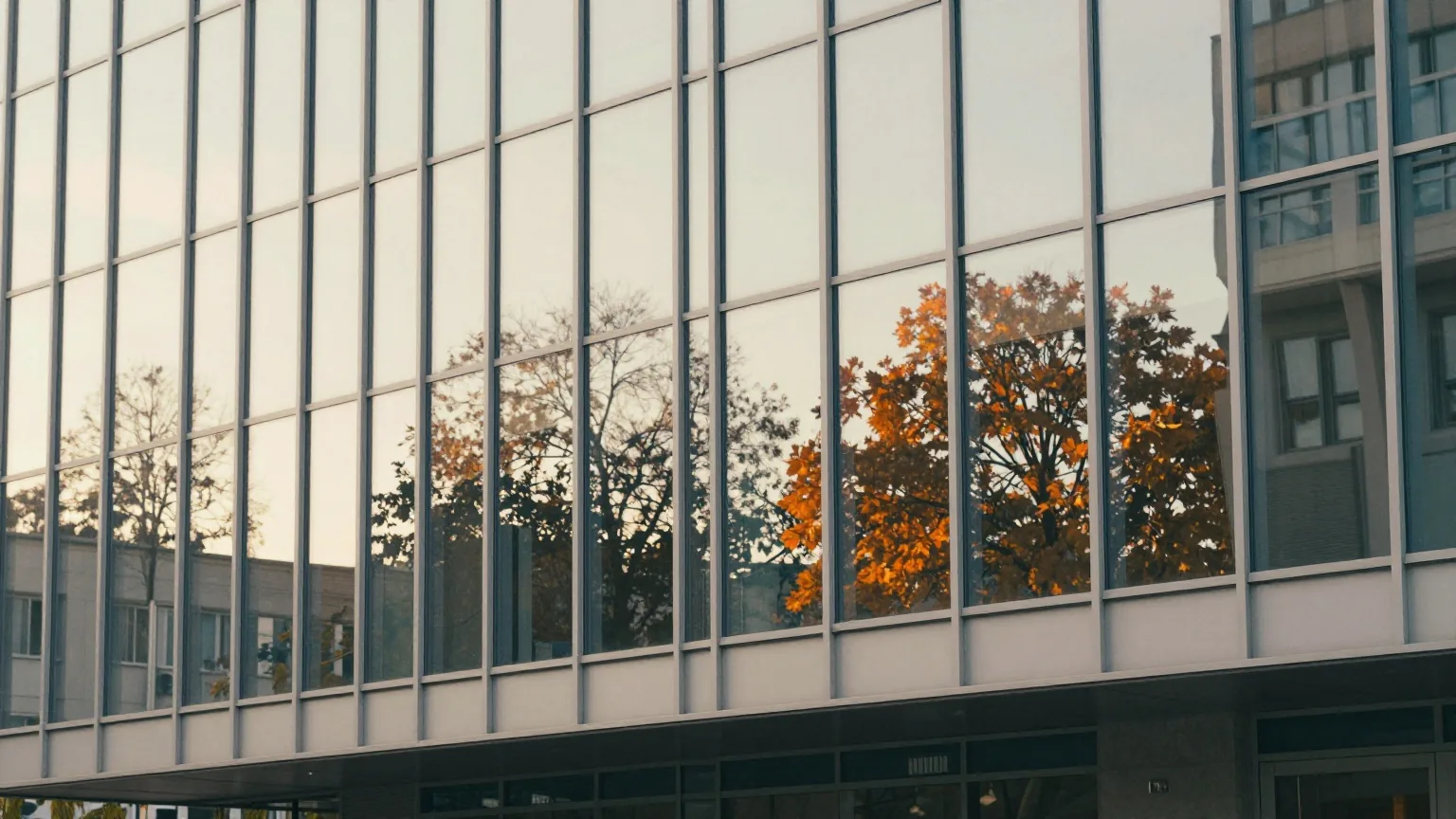 Glasfassade eines modernen Gebäudes, in der sich Herbstbäume im weichen Morgenlicht spiegeln
