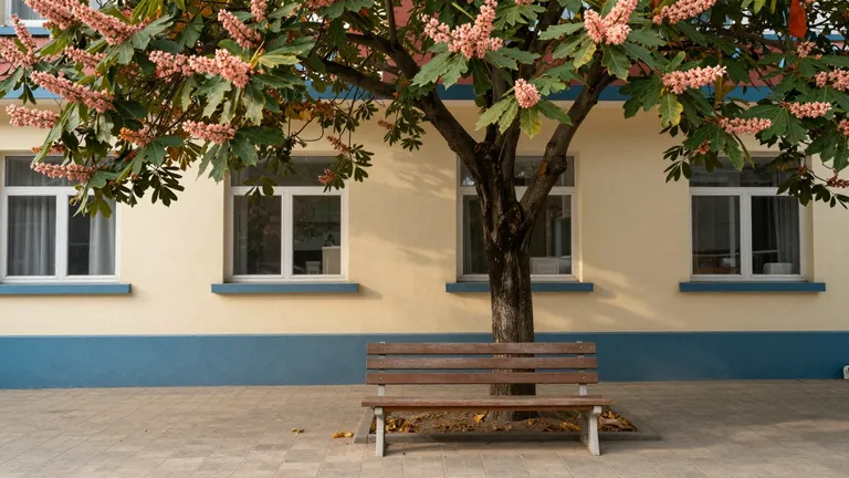 Eine Holzbank unter einer großen Kastanie in einem ruhigen Klinikgarten im Herbst